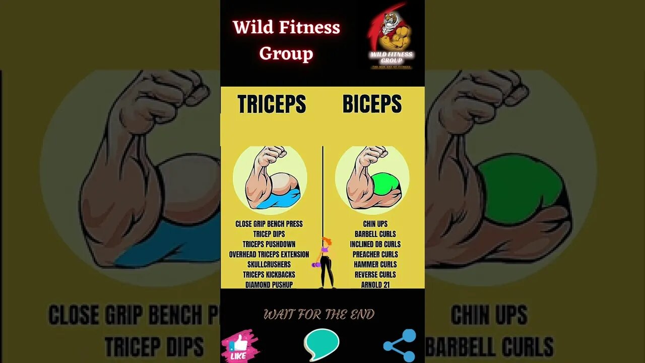 🔥Triceps vs biceps🔥#shorts🔥#wildfitnessgroup🔥19 November 2022🔥