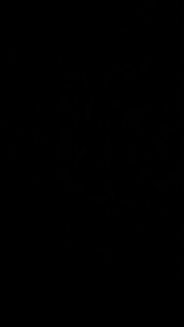 America is on the line