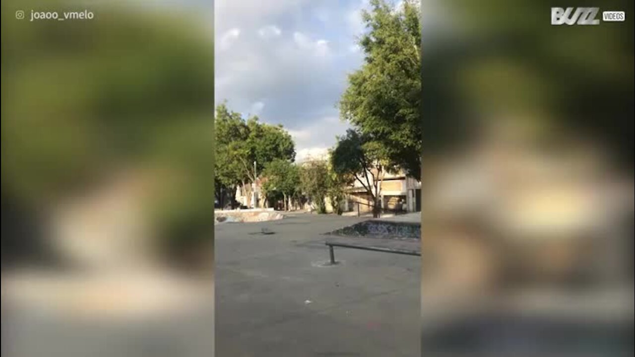 Les chutes font partie de l'apprentissage, même au skate