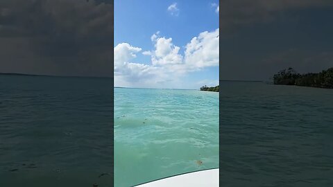 Windy day in the Caribbean Travel Belize, Texas in Balize