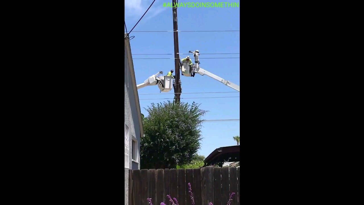 #ChainSaw #TelephonePole