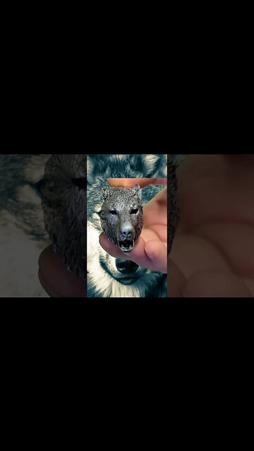 Collectors Wolf Knife from franklin mint. #knife