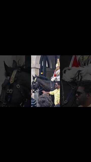 a rein man #horseguardsparade