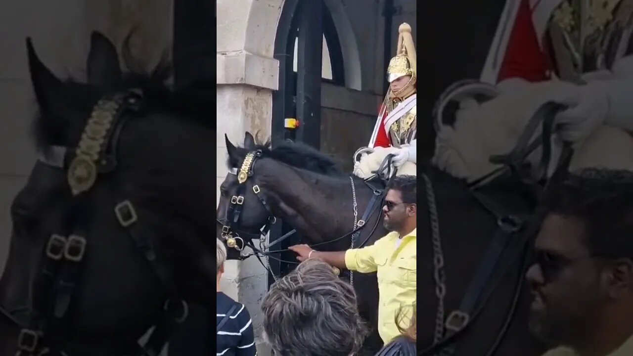 a rein man #horseguardsparade