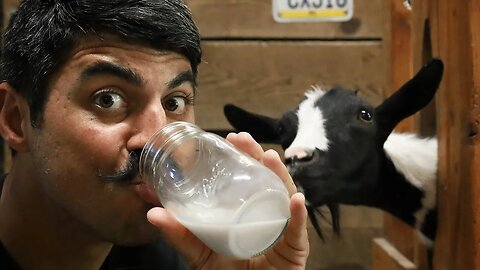 I'M ALLERGIC TO COW'S MILK, So I Just Drank GOAT'S MILK... What Happened?