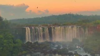 L'incroyable beauté des chutes d'Iguazú
