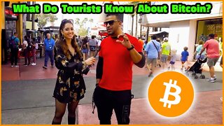 Do Miami Tourists Understand Bitcoin?