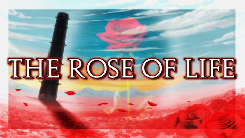 The Rose of Life...