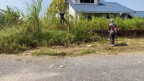 NOBODY # I # random see HOUSE has been abandoned 20YEARS mowing OVERGROWN lawn transformation SATISF