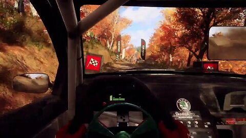 DiRT Rally 2 - Fabia Flies Through Beaver Creek Trail [Part 2]