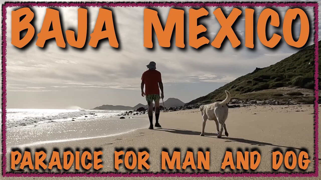 Baja Mexico : Paradise for man and dog