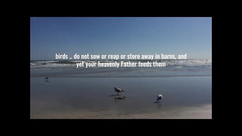 SCRIPTURES ABOUT NATURE