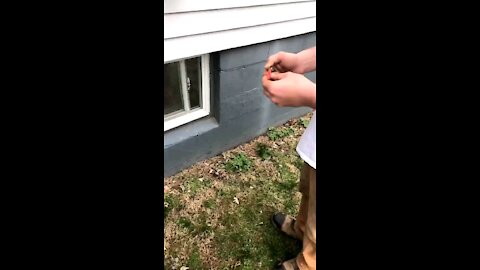 Firecracker prank