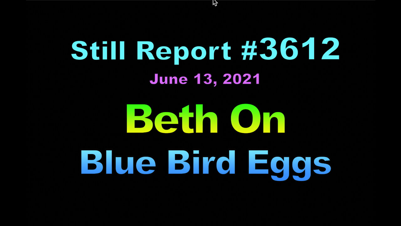 Beth On Blue Bird Eggs, 3612