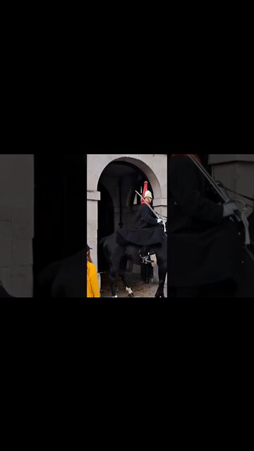 Horse Does not want to stand still #horseguardsparade