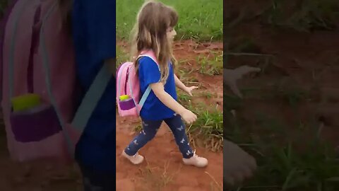 A vaca quase morreu afogada