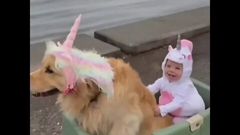 WHY.ARE.YOU.SO.CUTE??? #Puppy #Dogs #Shorts #Puppyvideo #Shortvideo #dog #doglover #cutedog #puppylo