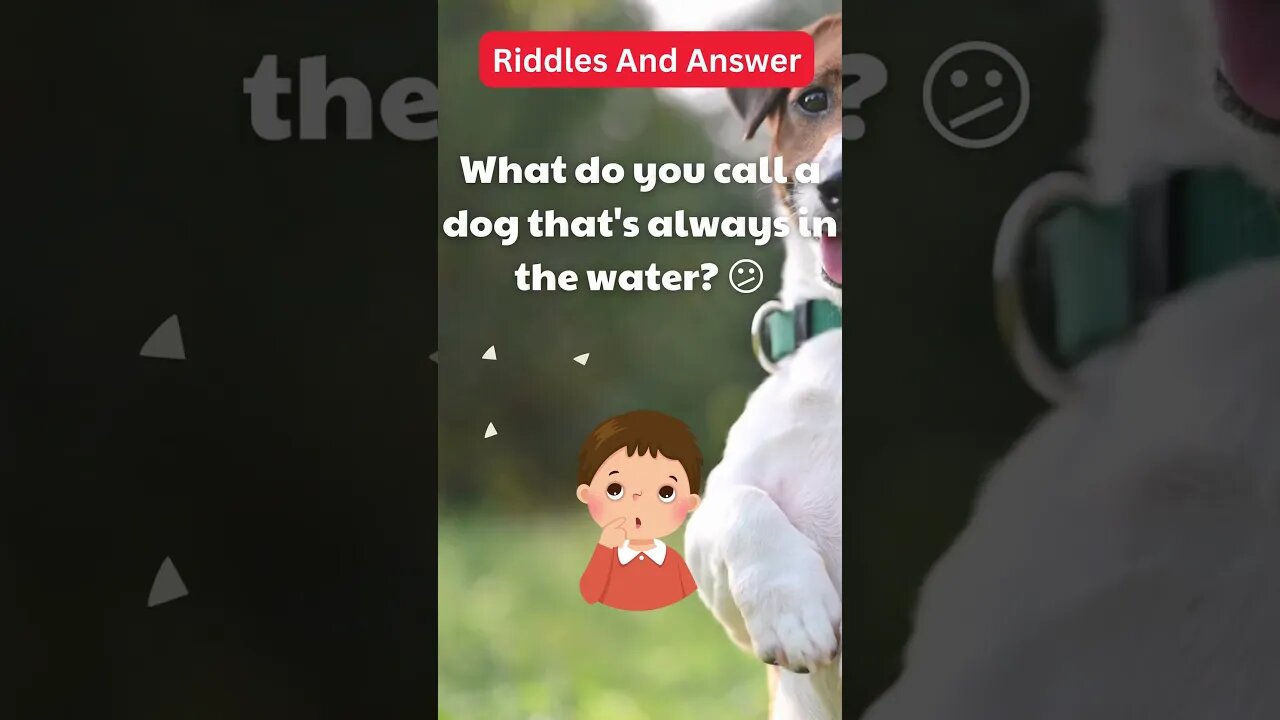 Dogs Riddle | Dogs Riddles in English | Riddles with Answer | Hard riddles | EP32 #shorts