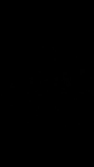 Grooves in the record