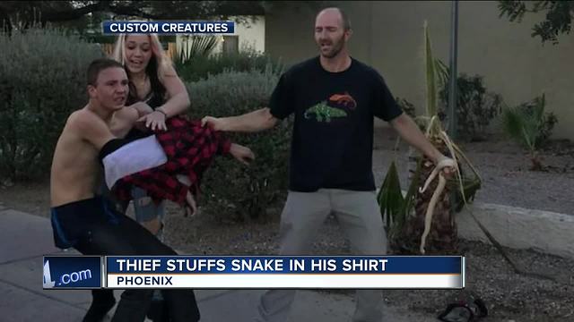 Phoenix thief sticks live snake down his shirt