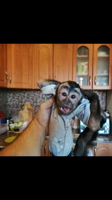 Crazy jumping with dad