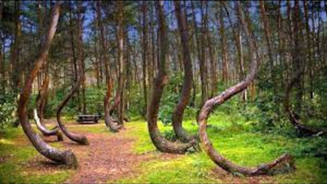 12 Most Mysterious and Hard To Explain Places