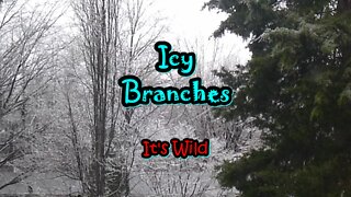 Icy Branches