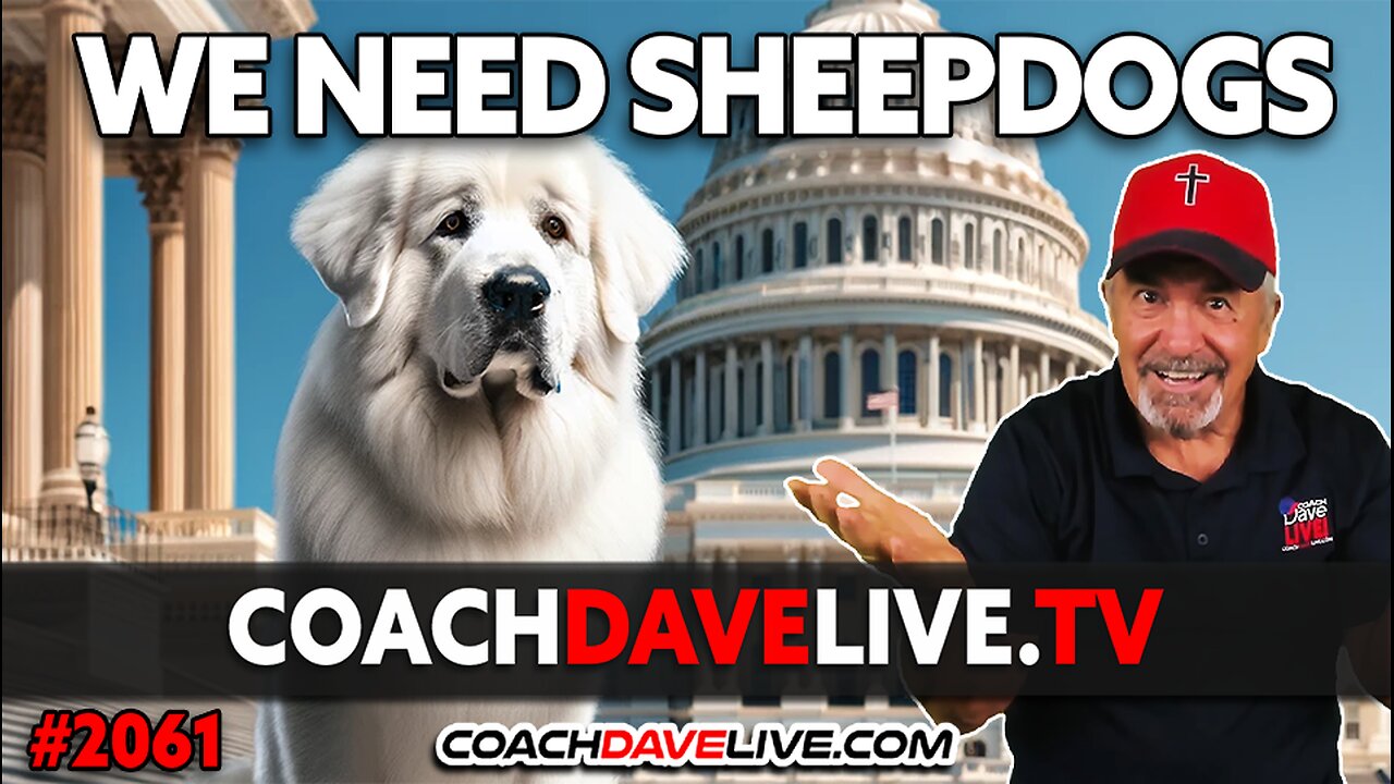 WE NEED SHEEPDOGS | 1-10-2024