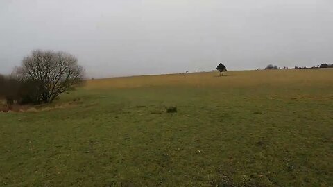 Finding a pitch at Reddacleeve farm campsite. Dartmoor. 20th March 2023 part 7