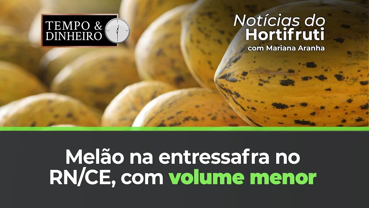 Melão na entressafra no RN/CE, com volume menor