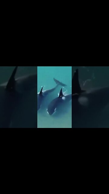 Don’t worry-they are there to “protect” you