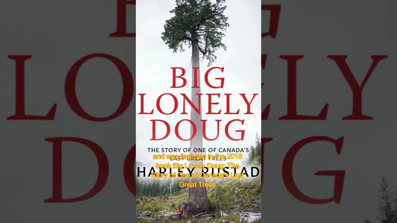 Canada's 🇨🇦 Last Ancient Tree! #explore #viral #shorts