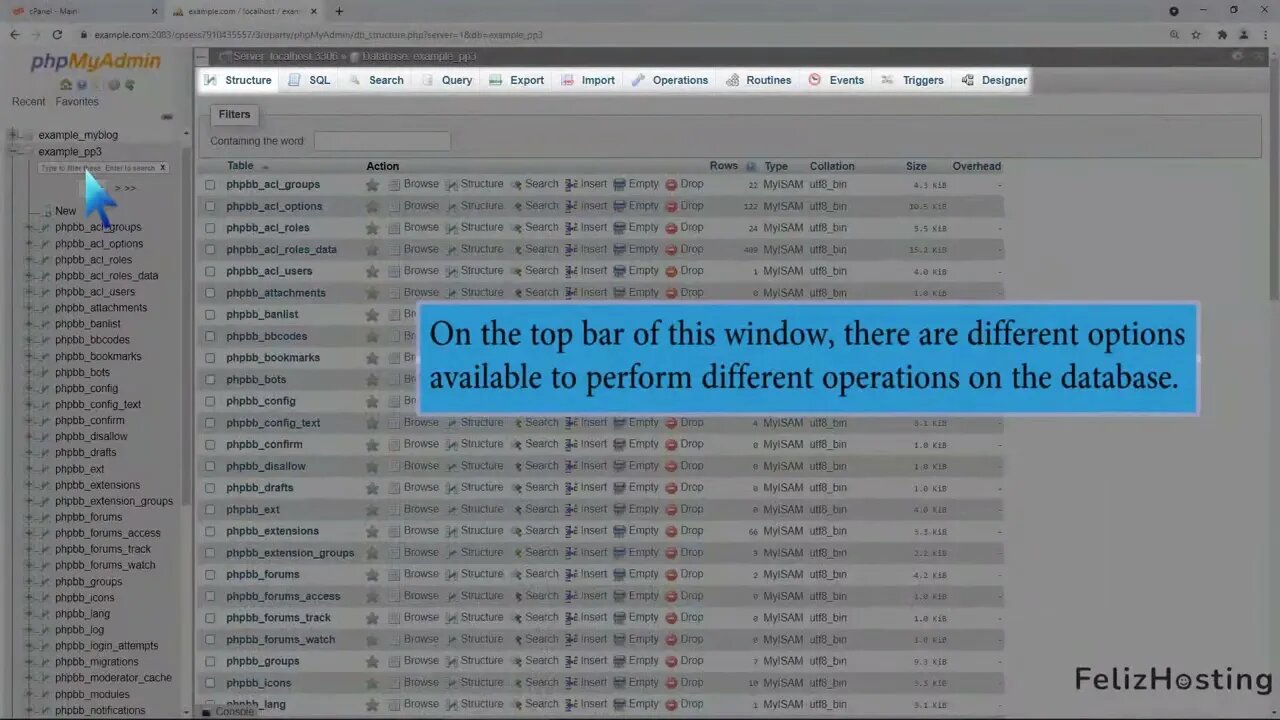 How to export database table via phpMyAdmin in cPanel with FelizHosting