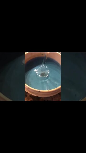 Artist Hack: Cleaning Oil Paint from Brushes #arthacks #oilpainting #dawn #brushes #cleaning