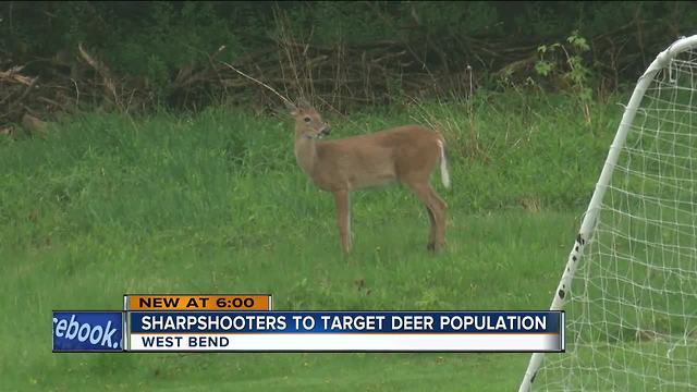 Sharpshooters to target deer population