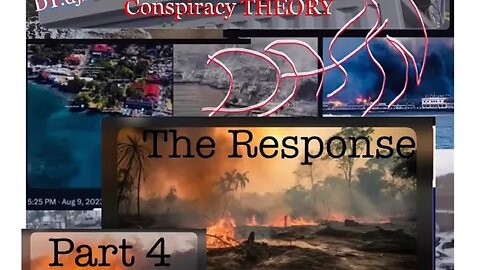 #DaamnWildFires part4 - The (lacking) #Response, conflicting stories & another #DaamnWorthy channel!