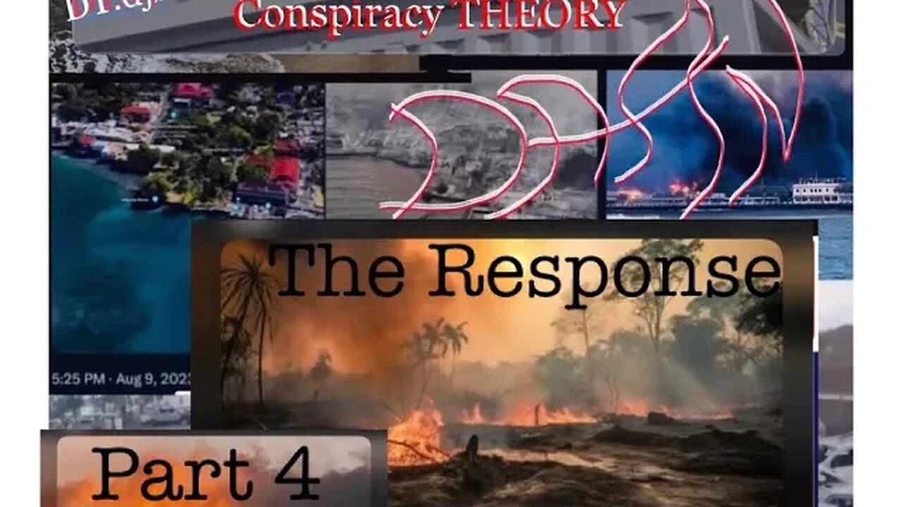 #DaamnWildFires part4 - The (lacking) #Response, conflicting stories & another #DaamnWorthy channel!