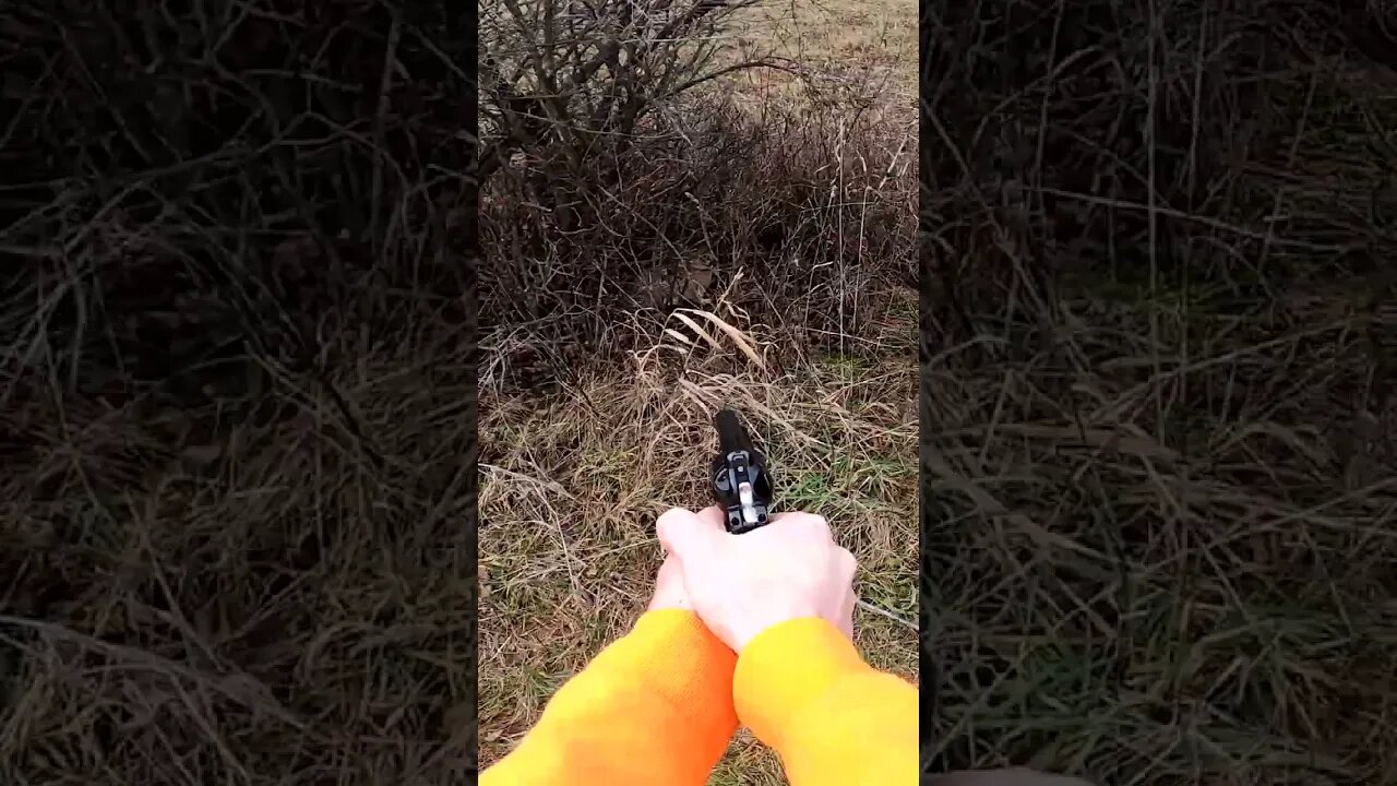 Is .22 Good for Bunnies??