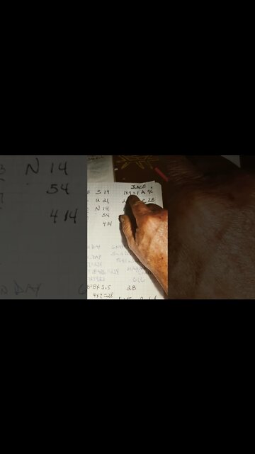 N3XT LIVE DIVIDED SUN BASE SKY PASS HOW THE MAYAN XYXLE 25920 ROLES INTO