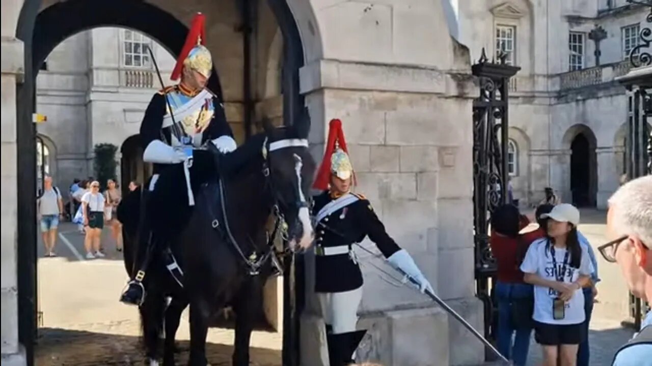 kid walks back to her parents when she see the sword #horseguardsparade