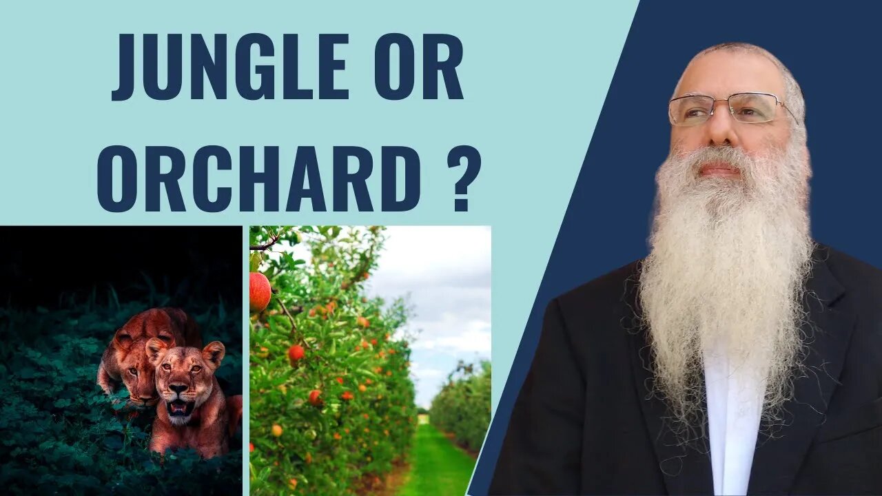 Parshat Yitro jungle or orchard?