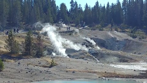 Norris Geyser Basin in Yellowstone National Park