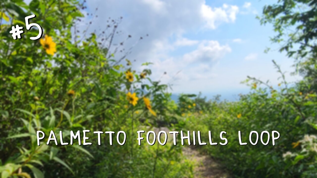 Palmetto & Foothills Trail Loop 2021