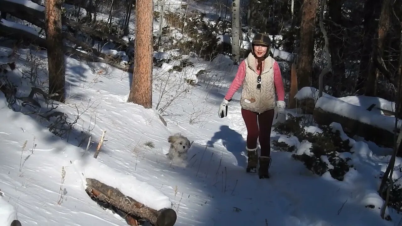 The Least Populated State