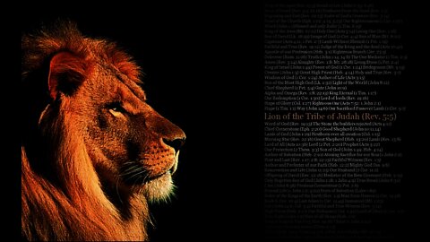 "The Lion of Judah" Advent Midweek 1 2018