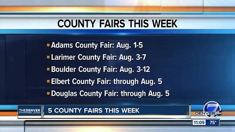 5 County Fairs this week