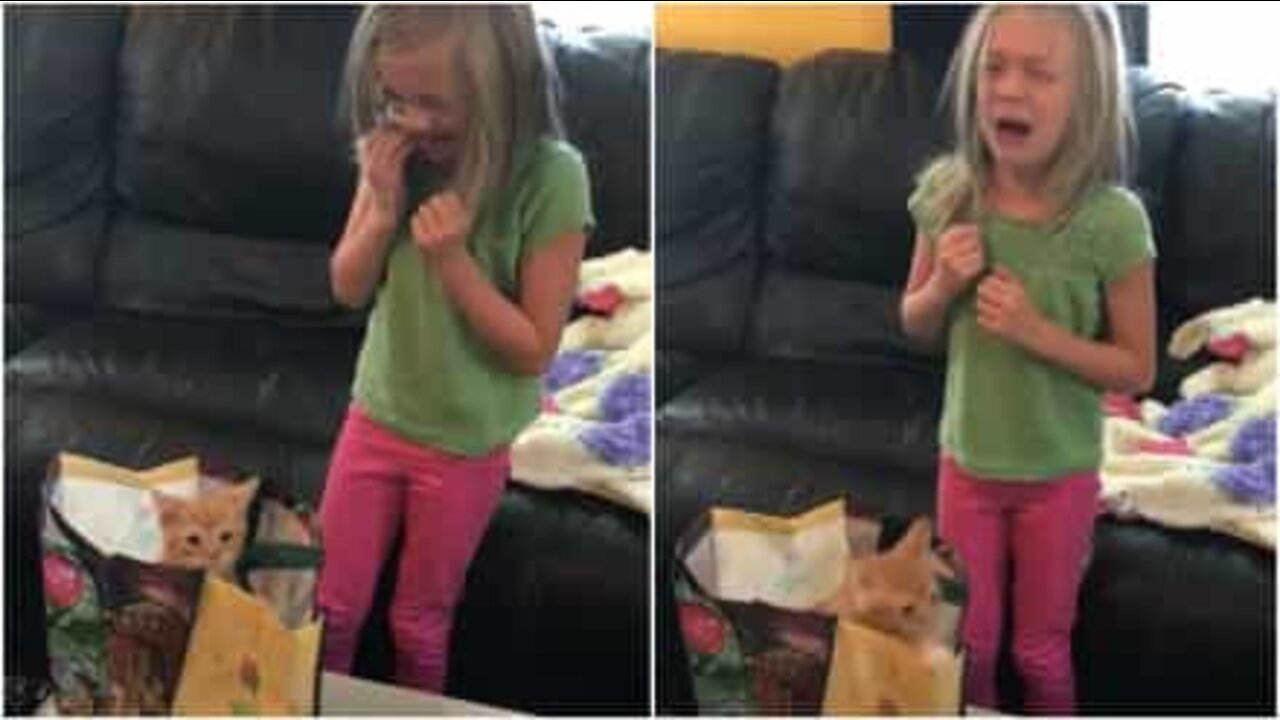 Girl's emotional reaction to getting a kitten for birthday