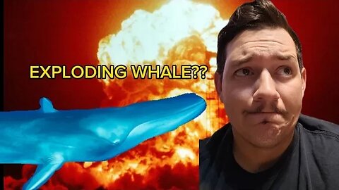 Washed up Whale on the Brink of Exploding
