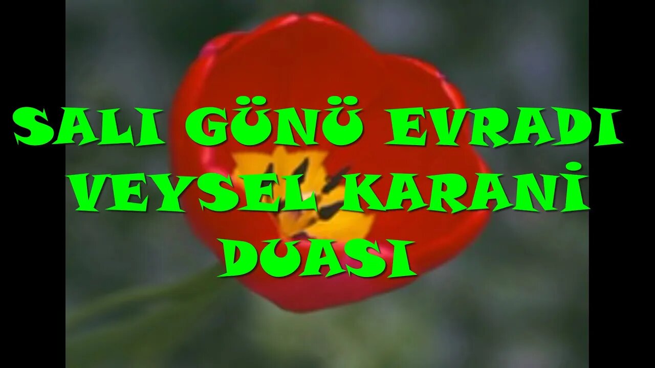 SALI GÜNÜ EVRADI / VEYSEL KARANİ DUASI