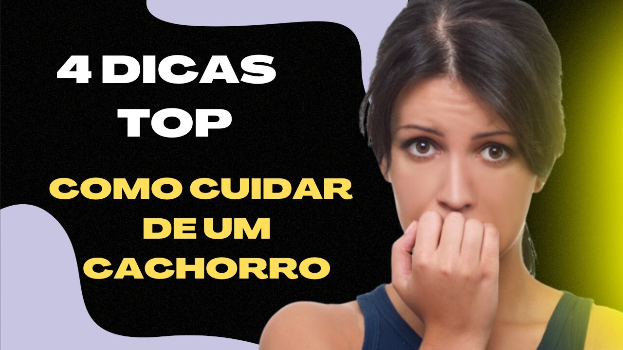 4 dicas top como cuidar de um cachorro